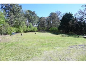 Expansive backyard featuring lush greenery and mature trees, offering privacy and space for outdoor activities at 1621 Oak Rd, Snellville, GA 30078