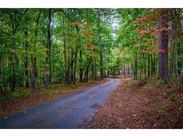 Long winding driveway leading to secluded home through a heavily wooded area at 6980 Lamplighter Ln, Winston, GA 30187