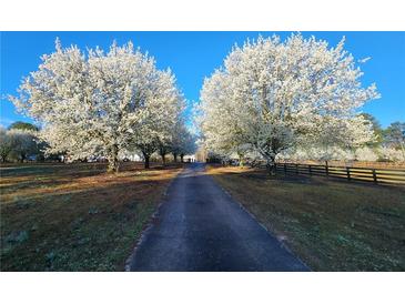 Scenic tree lined driveway with flowering trees creating a welcoming entrance to the property at 2452 Camp Mitchell Rd, Grayson, GA 30017