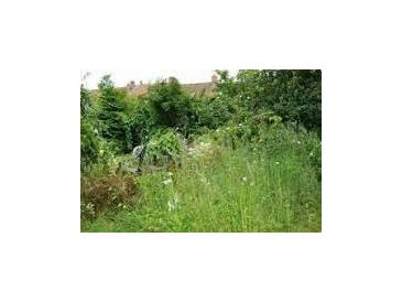View of an unkempt backyard at 2628 Amberly Dr, Dunwoody, GA 30360