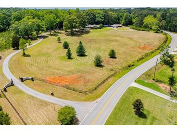 A vast, expansive, aerial view of the property, featuring mature trees, landscaping, and a long, private driveway at 1050 Denton Rd, Douglasville, GA 30134