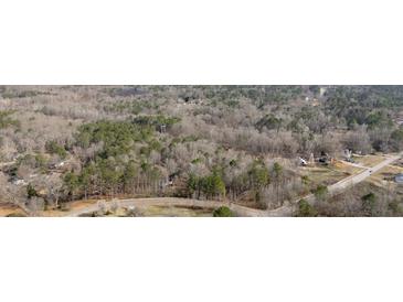 Scenic aerial view showing surrounding trees and winding road near the property at 176 Old Burnt Hickory Rd, Douglasville, GA 30134