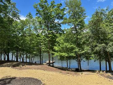A scenic view of the lake from the landscaped yard, featuring a dock for relaxing by the water at 8316 Hewlett Rd, Sandy Springs, GA 30350