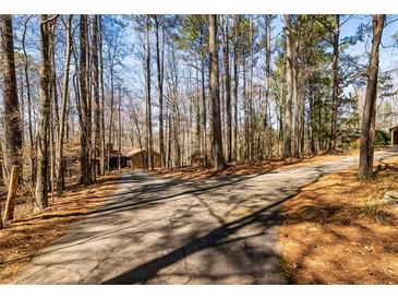 Scenic drive leading to a charming home surrounded by a beautiful wooded landscape and mature trees at 166 Muse Rd, Fayetteville, GA 30214