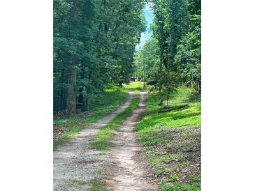 Long, private driveway with a natural, wooded surrounding leading to the property at 6394 Shore Dr, Douglasville, GA 30135