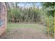 Private backyard with bamboo, offering a serene and tranquil retreat at 3159 Nursery Se Rd, Smyrna, GA 30082
