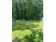 Backyard view with mature trees and a built-in fire pit at 3705 Sandhill Se Dr, Conyers, GA 30094