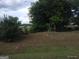 View of a wooded backyard, showcasing mature trees and a glimpse of an open field in the distance at 0 Hawkins Academy Rd, Social Circle, GA 30025