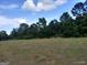 Gently sloped grassy land bordered by lush trees, creating a tranquil and private setting at 0 Hawkins Academy Rd, Social Circle, GA 30025