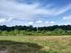 View of land with sparse grass, a tree line in the distance, with a windmill visible at 0 Hawkins Academy Rd, Social Circle, GA 30025
