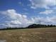 View of land with sparse grass, a tree line in the distance, and blue skies with puffy white clouds above at 0 Hawkins Academy Rd, Social Circle, GA 30025