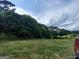 A beautiful land view with a mix of grassy area and dense foliage under a partially cloudy sky at 0 Hawkins Academy Rd, Social Circle, GA 30025