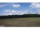 View of land with sparse grass, a tree line in the distance, and blue skies with puffy white clouds above at 0 Hawkins Academy Rd, Social Circle, GA 30025