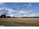 Expansive wheat field stretching to the horizon under a vibrant blue sky with fluffy white clouds at 0 Hawkins Academy Rd, Social Circle, GA 30025