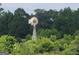 Closer view of a windmill surrounded by green trees at 0 Hawkins Academy Rd, Social Circle, GA 30025