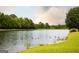 Picturesque pond view showcasing serene waters, lush greenery, and wildlife, creating a tranquil and inviting atmosphere at 1875 Highway 142 E, Covington, GA 30014