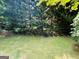 Serene backyard with lush green lawn and mature trees creating a peaceful, private outdoor space at 2606 Ramblewood Ct, Acworth, GA 30102