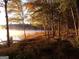 Peaceful sunrise view of wooded lakefront property with tranquil waters at 150 Dockside Dr # 382, Fayetteville, GA 30215