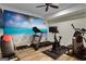 Home gym with various exercise equipment and beach mural at 140 Haddock Pt, Brooks, GA 30205