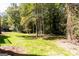 Expansive backyard featuring lush green lawn, mature trees, and natural surroundings offering a serene outdoor space at 504 Milligan Dr, Stone Mountain, GA 30083