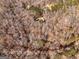 Aerial view of home and property in a wooded area at 785 Seabolt Rd, Locust Grove, GA 30248