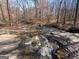 Small creek and waterfall in a natural wooded setting at 785 Seabolt Rd, Locust Grove, GA 30248