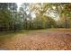 Backyard with an abundance of fallen leaves at 105 Tranquility Dr, Villa Rica, GA 30180