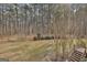 The backyard leads to woods in the background at 684 Brooks Woolsey Rd, Brooks, GA 30205