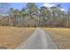 Long gravel driveway leading to a serene property surrounded by towering trees, offering a sense of peaceful seclusion at 684 Brooks Woolsey Rd, Brooks, GA 30205