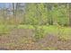 Beautifully landscaped garden with colorful azaleas and lush greenery in a natural setting at 684 Brooks Woolsey Rd, Brooks, GA 30205
