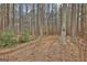 Serene wooded area with mature trees and natural ground cover at 684 Brooks Woolsey Rd, Brooks, GA 30205