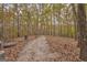 Land in a wooded area, natural setting with mature trees at 408 Gray Fox Dr, Canton, GA 30114