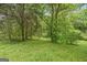 View of backyard featuring an established perimeter and mature trees at 734 W College St, Bowdon, GA 30108