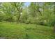 Large lawn with a backdrop of mature trees at 734 W College St, Bowdon, GA 30108