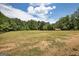 Picturesque view of a spacious grassy field bordered by trees and two horses grazing peacefully at 1024 Bethany Rd, Covington, GA 30016