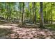 Backyard with a swing set and slide surrounded by tall, shady trees at 50 Persian Pl, Whitesburg, GA 30185