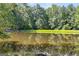 View of the calm pond surrounded by a lush tree canopy, creating a tranquil setting at 50 Persian Pl, Whitesburg, GA 30185