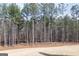 Backyard with tall evergreen trees provides the perfect privacy and natural scenery to this property at 5480 Two Hills Dr # 31, Fairburn, GA 30213