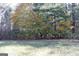 The lot is covered in dry leaves and grass with trees surrounding the buildable area at 1372 Auburn Rd, Dacula, GA 30019