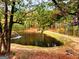 Scenic pond with a fountain, surrounded by mature trees showcasing natural beauty at 79 Turner Dr, Mcdonough, GA 30252