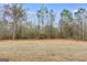 Backyard featuring neutral grass, sparse trees and blue skies at 426 Ayers Rd, Bowdon, GA 30108