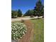 Landscaped yard with blooming white azaleas and mature trees at 1601 Celestial Ct, Mcdonough, GA 30253