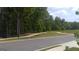 Homesite with a paved pathway and lush landscaping at 11879 Aukerman Way # 128, Hampton, GA 30228