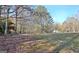 Expansive backyard featuring a playset, treehouse, and mature trees, perfect for outdoor activities at 435 Crabapple Rd, Fayetteville, GA 30215