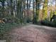 Backyard with abundant foliage at 7472 Woods Ct, Lithonia, GA 30058