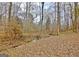 Secluded backyard with mature trees and natural landscaping at 2020 Moore Rd, Moreland, GA 30259
