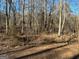 Secluded backyard with mature trees and natural landscaping at 2020 Moore Rd, Moreland, GA 30259