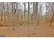 Scenic wooded backyard featuring mature trees and natural foliage at 2020 Moore Rd, Moreland, GA 30259