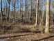 Secluded backyard with mature trees and natural landscaping at 2020 Moore Rd, Moreland, GA 30259