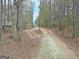 Long private driveway leading to the home, surrounded by mature trees at 2020 Moore Rd, Moreland, GA 30259